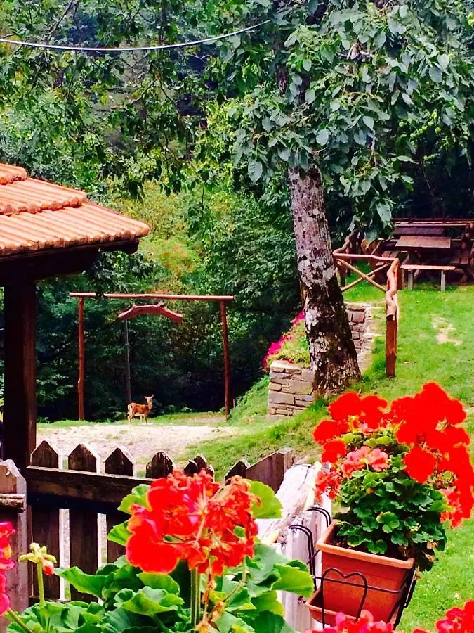 B&B La Presa Molino del Pallone 0*,
